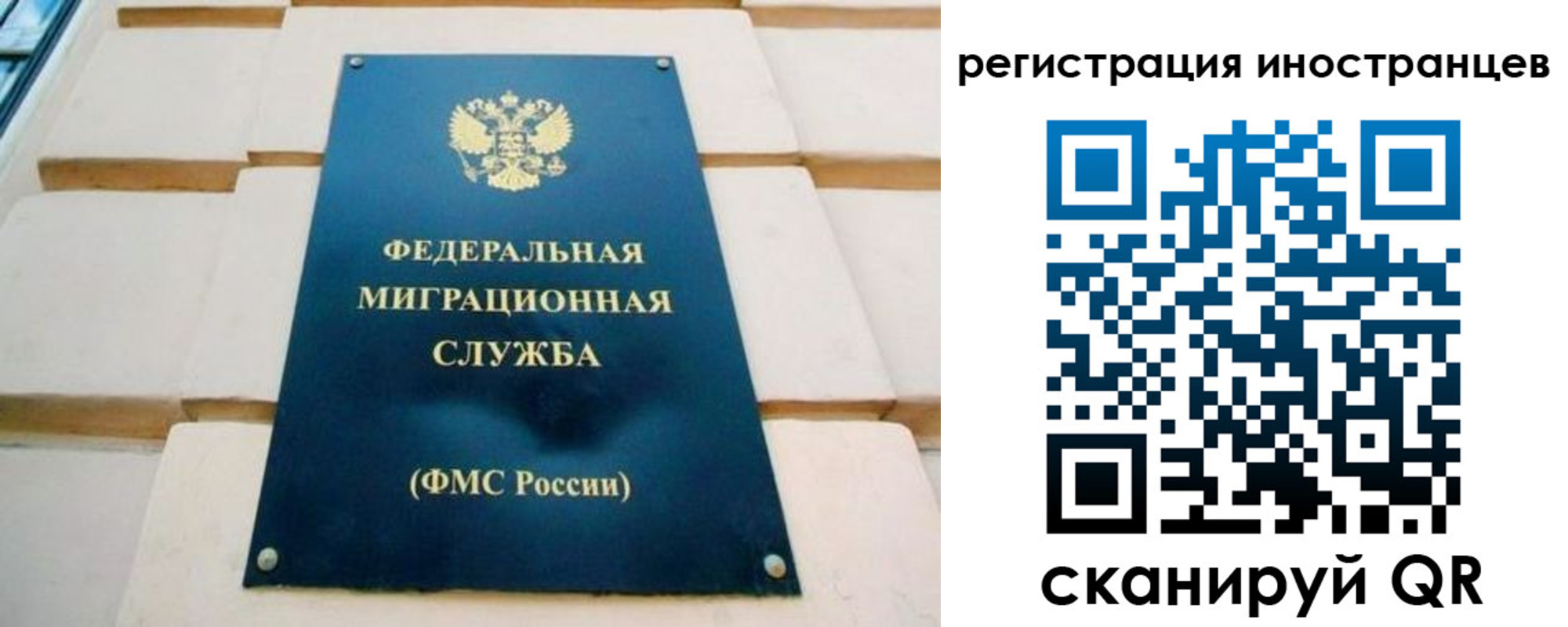 форма 3 в Новосибирской области